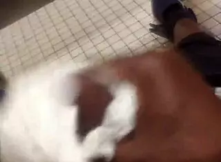 dick for sale with big ass