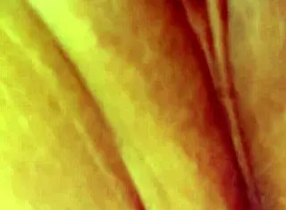 lovense wand makes me squirt and moan so wet