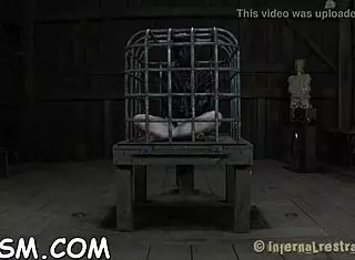 i got this bizarre toy and excited the playgirl with it, but i messed up the bdsm scene badly