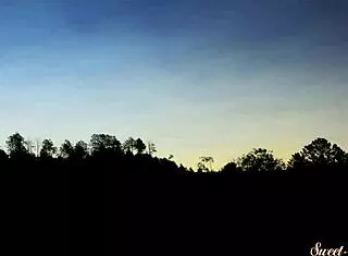 Seductive teen 18+ screams in outdoor pussyfucking session!