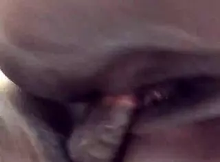 Sexy monster cock fucks pussy!