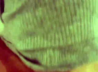 A libertarian bitch devours a kirchnerist cock in amateur blowjob