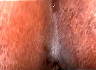 is going slow with emelia in doggy position intriguing?