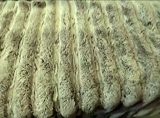 Slumber Party With Friends Hot Mom