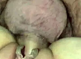 woody 2 shoes detailed collection