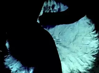 my secret life takes a new turn