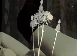 my secret life takes a new turn