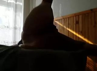 Hard Fucking Pussy and Ass in Anal