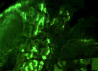 Isäpuolen sisko doggystylessä, milf hardcore kontrasti