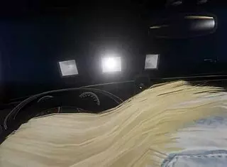 GTA 5 Hooker In Car: First Person Sex Adventure