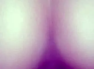 Intense Outdoor Blowjobs In Public