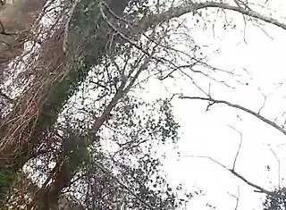 Slut Sucking Cock Outdoors with Sloppy Finish