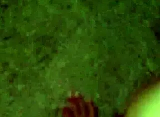 Masked Wife Teases with Toys in Bedroom