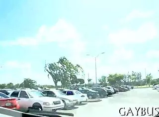 Passionate Homosexual Blow Job Porn