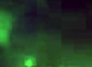 Ebony BBW gives sloppy head to monster cock