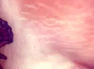 Grandma Creampie From Young Stud