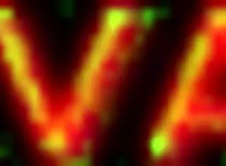 brasileira bruna silva hotwife primeiro encontro com um f� parte 1-4 com legenda