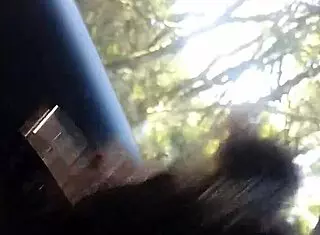 brazilian shemale gives oral in car quickie.