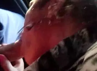 brazilian shemale gives oral in car quickie.