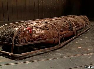 타이트 본디지에 묶인 에보니가 손가락질 당하면서 아파해