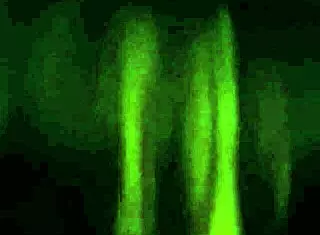 Friend, want a blowjob from my girlfriend?