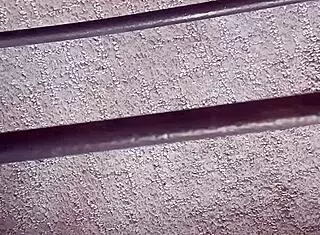 thomas odea shows off his monster cock and big ass