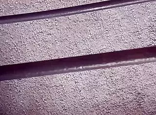 thomas odea shows off his monster cock and big ass