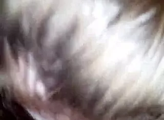 My Amazing Girl Sucks My Cock Expertly