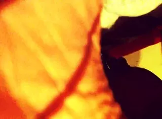 Intense Anal Assfucking in Exclusive Video. Rough Penetration and Gaping Action Featured.