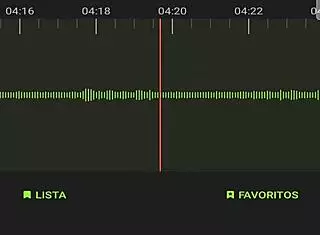 Argentinian Neighbors Spied on While Having Sex