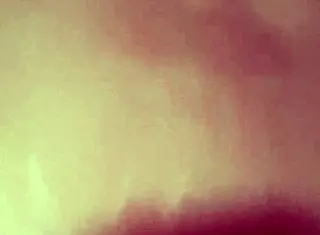 Duk and david duk peeing in david mouth duk sucking cock for cum