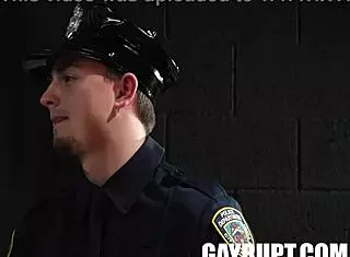 where's my phone call with roman todd and masyn thorne