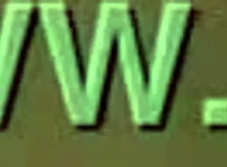 Trim Video Features Hairy Pussy in Detailed Scene