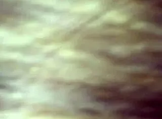 why do you suck with such humiliation, submissive bdsm style?