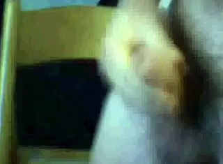 spanish argentinian shows short cock on webcam.