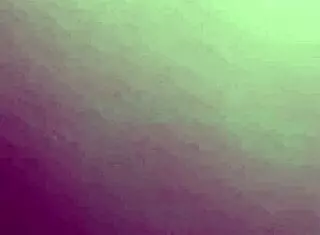 sexy and beautiful woman