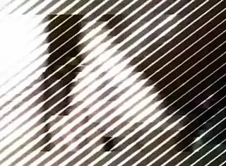 amateurs blowjob in morning or evening