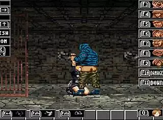 Final Fight Hentai Creampie Gallery