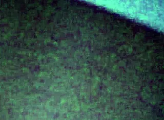 Young School Friend Hanging Out