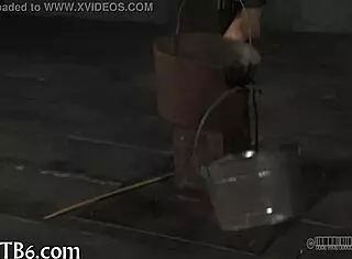 The bottom of the babes series