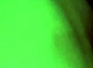 Stranger WANTED To SUCK My DICK