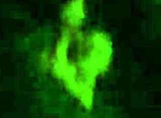 They fuck me in fours in my favorite doggystyle position with ass bent over 😍