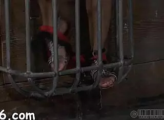 Extreme Sadomasochism