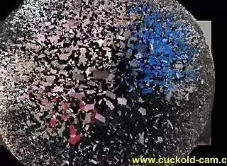 Cuckold husband under femdom control