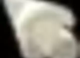 spooky milk life taboo hentai game with massive cum scene