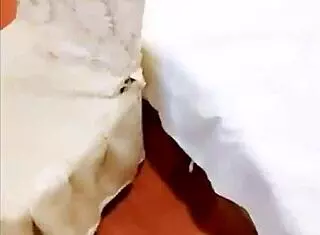 Gay Vietnamese Encounters In Direct Action.