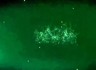 Feeling Intense Pleasure As Penis Grows During Amateur Blowjob Leading To Facial And Swallow