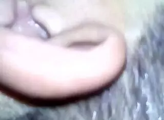 Am I eating Nelly's ass, that cheating married Mexican prostitute?