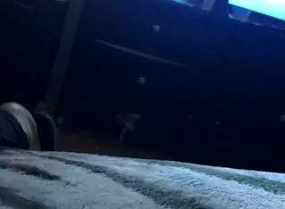 luis elias in a casual big ass showcase