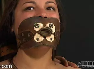 Zealous arse whipping for the babe in USA